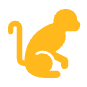 orangutan
